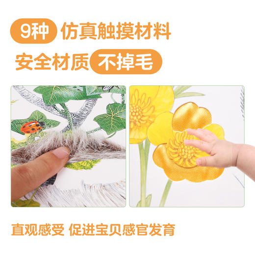 小兔比利 幼儿早教书亮丽精美小熊波比婴儿0-3岁宝宝书本认知撕不烂感官刺激机关儿童启蒙绘本1-2岁翻翻洞洞触摸书 商品图3