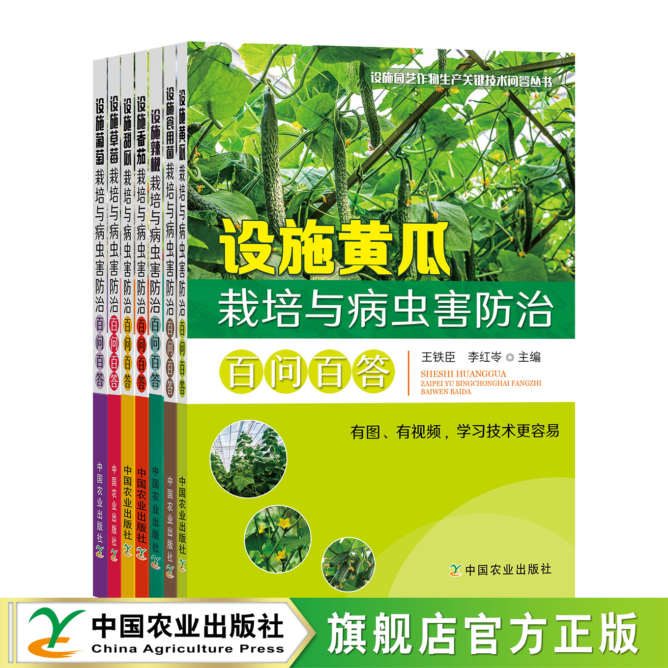 设施园艺作物生产关键技术问答丛书【中国农业出版社官方正版】