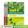 设施园艺作物生产关键技术问答丛书【中国农业出版社官方正版】 商品缩略图0