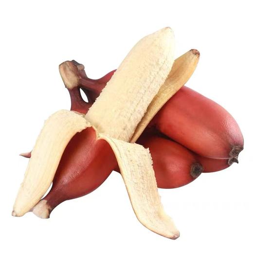 福建红美人香蕉当季新鲜水果土楼特产现摘现发5斤装包邮 商品图1