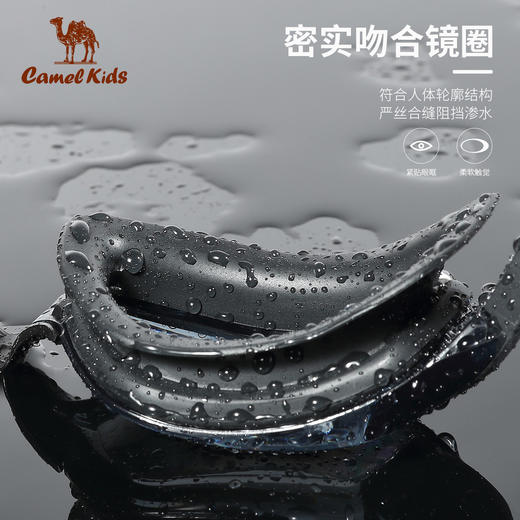 骆驼泳镜男女通用成人游泳装备防雾疏水高清专业训练潜水大框眼镜 Y0S3UW601 商品图1