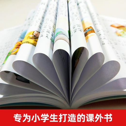 成语故事大全注音版 中国神话故事民间故事 世界儿童共享的经典丛书故事书 6-12周海豚绘本花园正版一二三四年级小学生课外书 商品图2