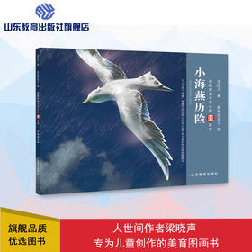 小海燕历险 梁晓声亲子半小时美绘本