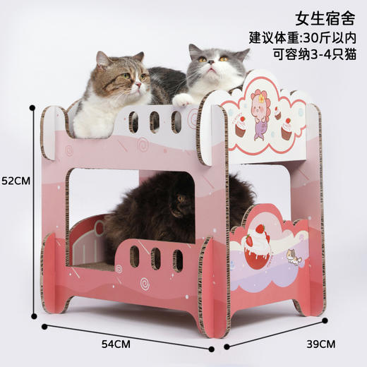 【住在上铺的猫兄】二胎计划创意猫抓板双层大号玩具瓦楞纸猫窝上下铺猫爬架 商品图8