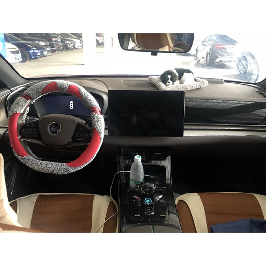 比亚迪 汉 EV 超长续航版豪华型 【长租-北京】 商品图6