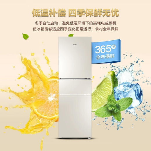 海尔冰箱BCD-220WMGL 商品图2