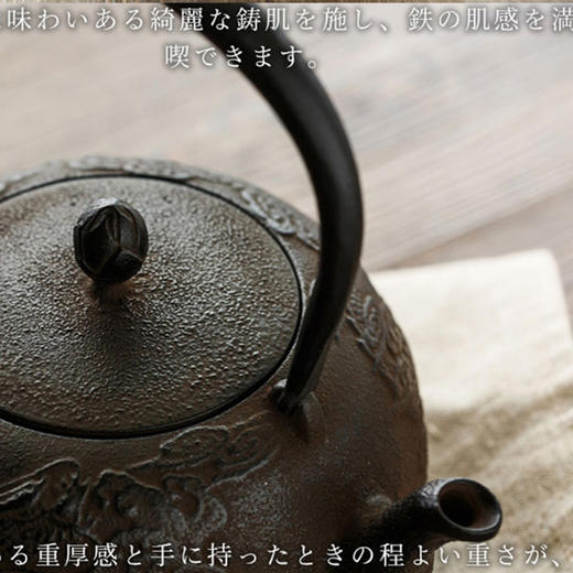 日本进口南部铁器龙王手工铸铁壶0.8L 商品图5