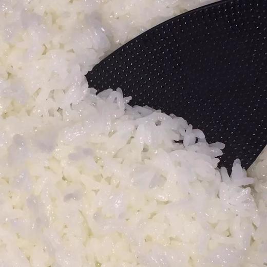 鲜8-五常大米 商品图4