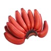 福建红美人香蕉当季新鲜水果土楼特产现摘现发5斤装包邮 商品缩略图5