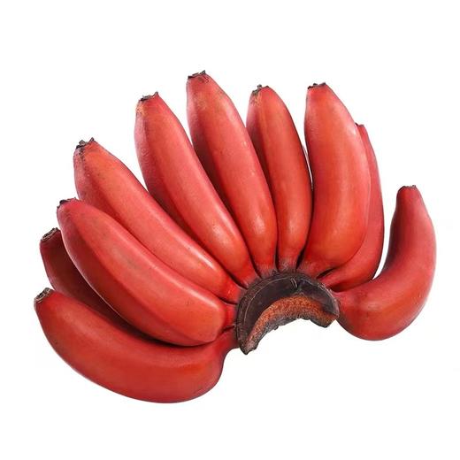 福建红美人香蕉当季新鲜水果土楼特产现摘现发5斤装包邮 商品图5