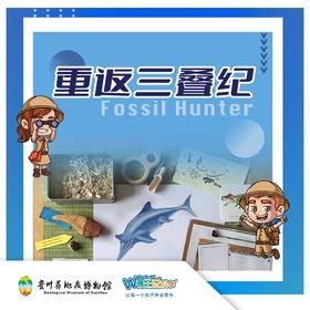 贵地博|【化石小猎人】之重返三叠纪