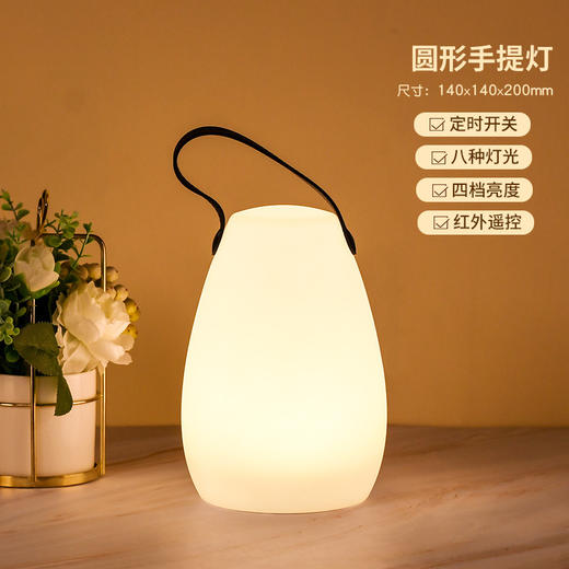 新款卧室床头小台灯简约ins温馨氛围usb遥控开关手提小夜灯 商品图7