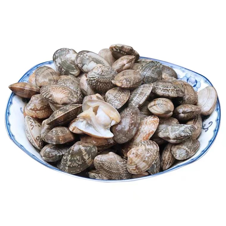 【鲜活】小花蚬子 1斤75-85粒左右（送货路上不保活）