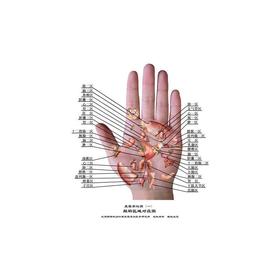 【心如健推荐】王晨霞掌纹图典