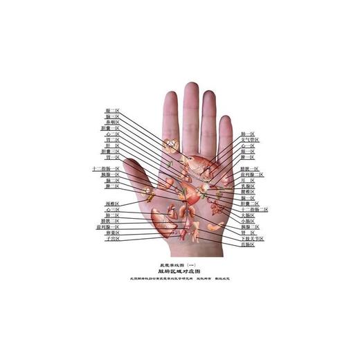 【心如健推荐】王晨霞掌纹图典 商品图0