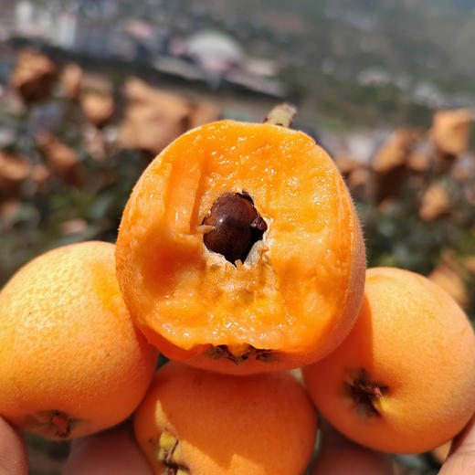 米易五星枇杷，果肉细腻，个大饱满，皮薄肉厚，清甜多汁 商品图2