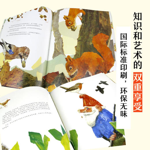 一粒种子的旅行＋世界上最最温馨的家2册 7-10岁儿童科普书籍 非注音版 德国青少年文学科普奖7-12岁小学生课外阅读书籍儿童绘本 商品图4
