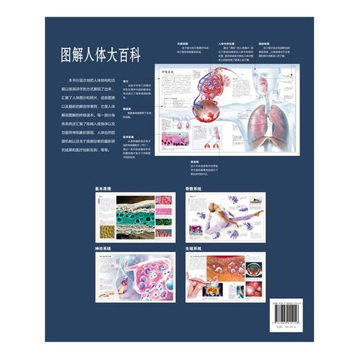 【心如健推荐】图解人体大百科 商品图2