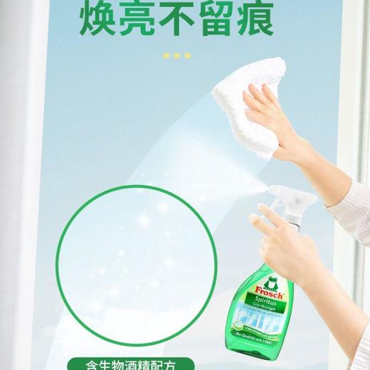Frosch 玻璃/镜面专业清洁喷剂500ml 商品图2