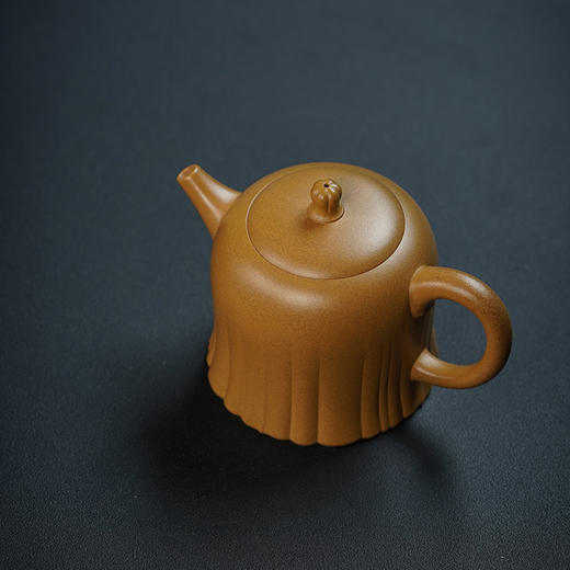 龙德堂陶艺 汤宣武《韶茂》原矿金砂段 240 cc 商品图2