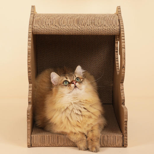 【超大空间 边玩耍边休息】恐龙猫抓板瓦楞纸猫窝猫爬架立式猫爪板用品猫猫玩具 商品图3