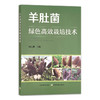 【官方正版】羊肚菌绿色高效栽培技术 9787109272354 食用菌 菌丝 菌类 种植科技 轻简栽培 人工 商品缩略图0