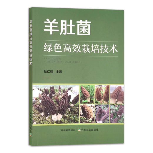 【官方正版】羊肚菌绿色高效栽培技术 9787109272354 食用菌 菌丝 菌类 种植科技 轻简栽培 人工 商品图0