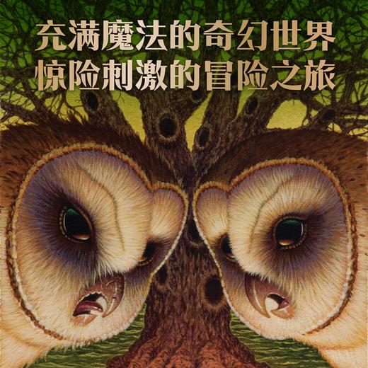 猫头鹰王国全15册纽伯瑞奖得住凯瑟琳 拉丝基潜心十年著作三四五六年级中小学生课外阅读书籍动物奇幻小说儿童书籍儿童课外阅读书 商品图3