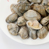 【鲜活】大花蚬子 1斤32-35粒左右（送货路上不保活）  商品缩略图2