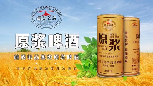 自营（啤酒汇）-青岛名牌精酿原浆啤酒1L装  酿酒师品鉴级原浆啤酒 商品图2