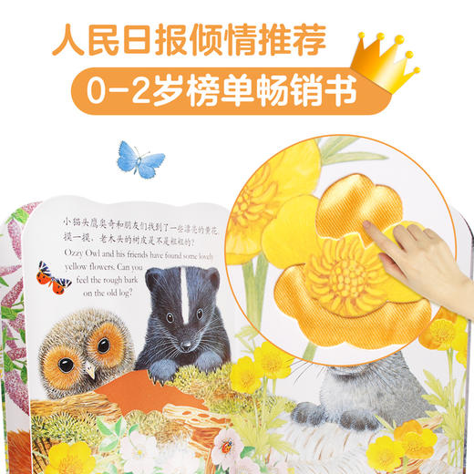 小兔比利 幼儿早教书亮丽精美小熊波比婴儿0-3岁宝宝书本认知撕不烂感官刺激机关儿童启蒙绘本1-2岁翻翻洞洞触摸书 商品图1