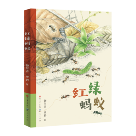 红绿蚂蚁