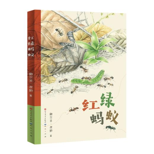 红绿蚂蚁 商品图0