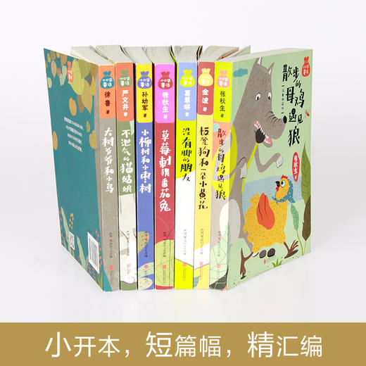 正版 小口袋童话 全套7册 注音版桥梁书 金波孙幼军张秋生严文井等著6-9-12岁儿童文学读物一二年级小学生课外阅读书籍名著课外书 商品图4