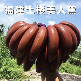 【预售】福建红美人香蕉当季新鲜水果土楼特产现摘现发5斤装包邮