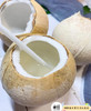 🛵泰国奶香椰皇天然清甜无添加 商品缩略图7
