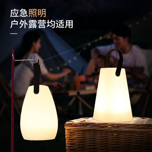 新款卧室床头小台灯简约ins温馨氛围usb遥控开关手提小夜灯 商品图3