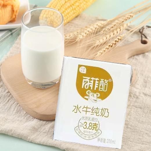 百菲酪水牛纯奶200ml/盒 商品图2