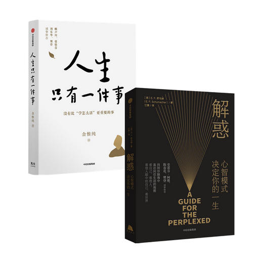 樊登荐 人生只有一件事+解惑心智模式决定你的一生 套装2册 人生没有比学怎么活更重要的事 正版包邮 商品图3