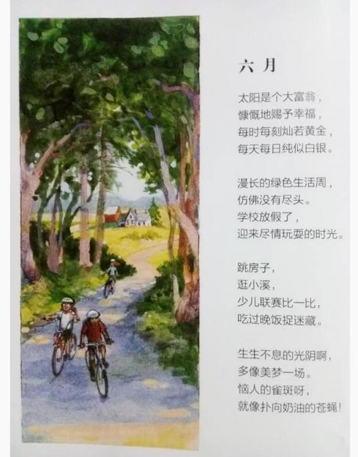 凯迪克大奖系列绘本 29本 商品图2