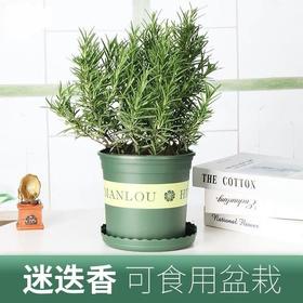 夏季必备驱蚊好物！