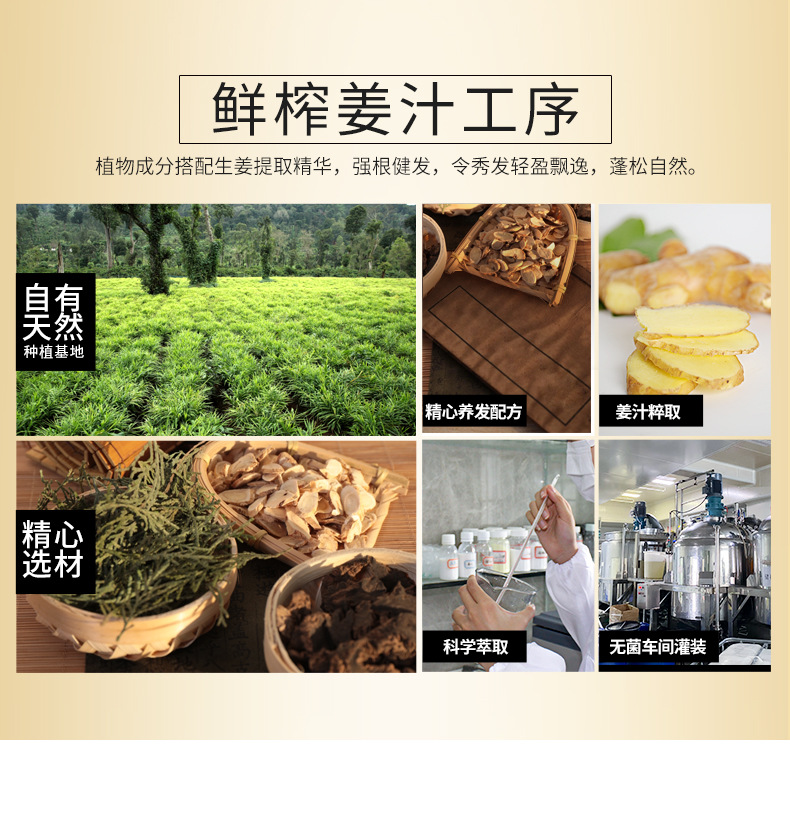 生姜洗发水II代_11