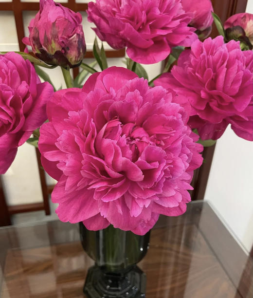 【爱你如初】芍药  - 红富士 深玫红色  10枝/扎 商品图3