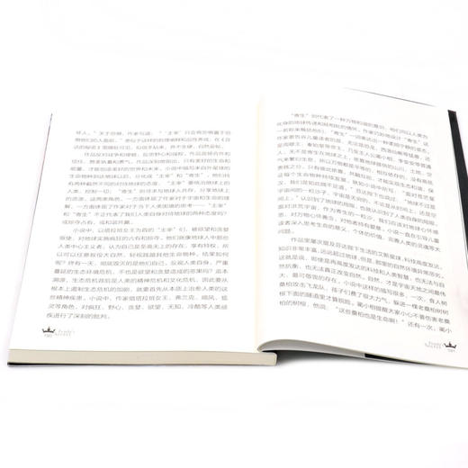 芬达的秘密(典藏版15追袭汉魏洛阳故城)/人文秘境科幻探寻系列丛书 商品图4