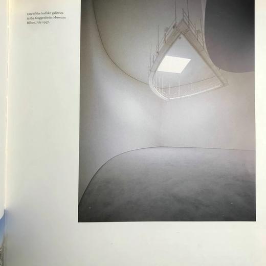 弗兰克·盖里-毕尔巴鄂古根海姆美术馆图集 约200幅插图 精装16开 商品图12