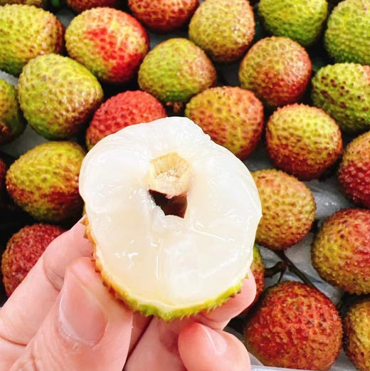 妃子笑不泡水的干荔枝 商品图10