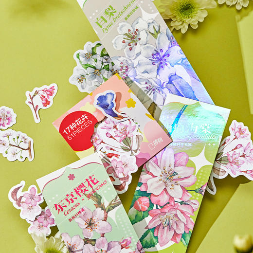 博物杂志 2022年增刊礼盒《身边花草图鉴》 商品图3