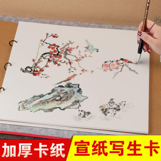 【庆学堂】宣纸卡纸便携式写生卡成人学生书法专用纸写生板10张加厚 商品图1