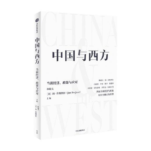 中国与西方 当前经济 政策与应对 林毅夫等 著 共论全球经济与政策 应对不确定的世界 数字经济 发展经济学 中信出版 商品图2