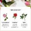 【一般贸易】Jo Loves 25瓣玫瑰香水50ml/100ml/瓶 商品缩略图2